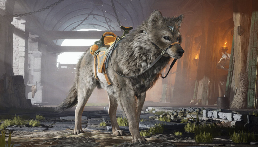 Новый скакун…